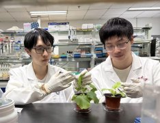 <b>多学科交叉、多手艺耦合、多范畴渗入 新农科何</b>